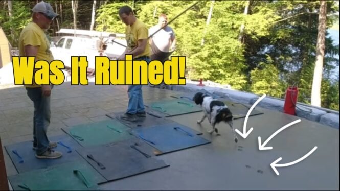 DOG DISASTER: Can we save this freshly stamped concrete patio?!